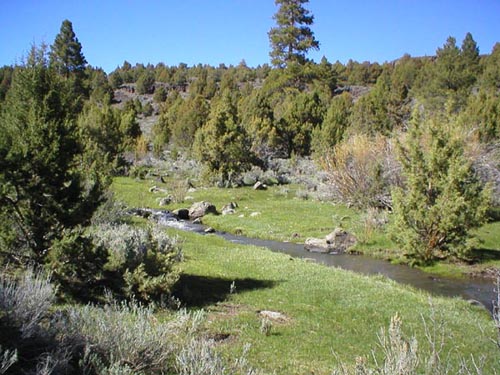 Hiking in Nevada