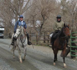 Horseback Riding Nevada